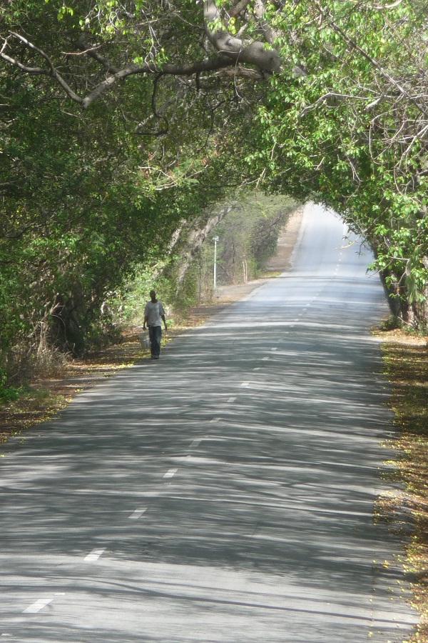 Strae-Curacao